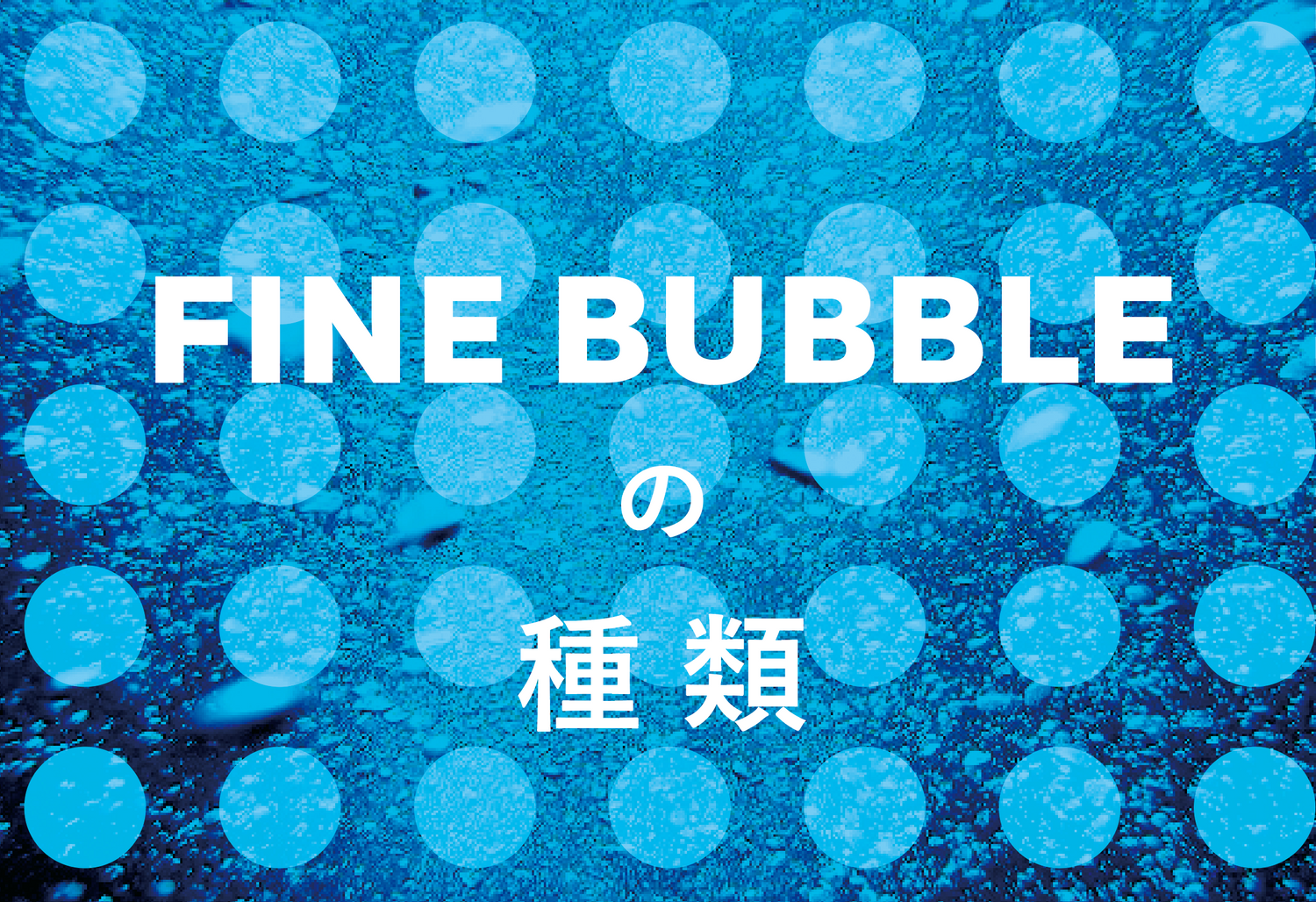 FIME Bubbleの種類